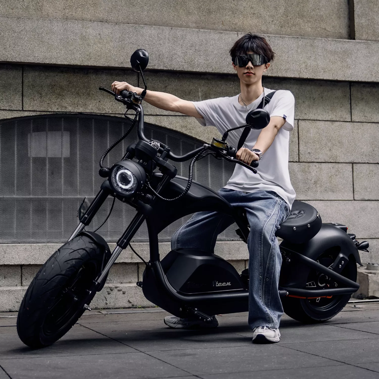 Mangosteen electric bike product detail